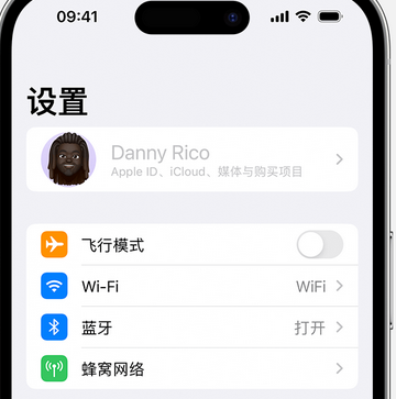 洪梅镇appleID维修服务iPhone设置中Apple ID显示为灰色无法使用 