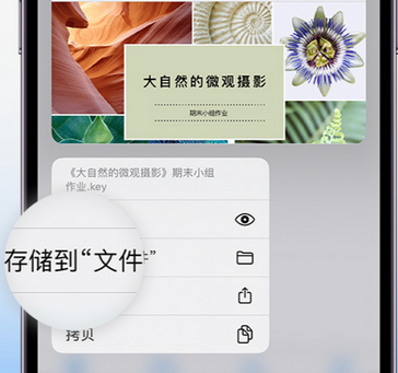 洪梅镇apple维修中心分享iPhone文件应用中存储和找到下载文件