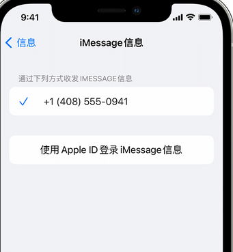 洪梅镇apple维修iPhone上无法正常发送iMessage信息 