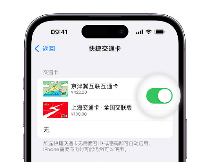 洪梅镇apple维修点分享iPhone上更换Apple Pay快捷交通卡手绘卡面 