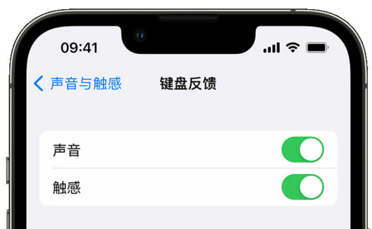 洪梅镇苹果手机维修分享iPhone 14触感键盘使用方法 