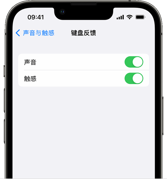 洪梅镇苹果14维修店分享如何在 iPhone 14 机型中使用触感键盘 