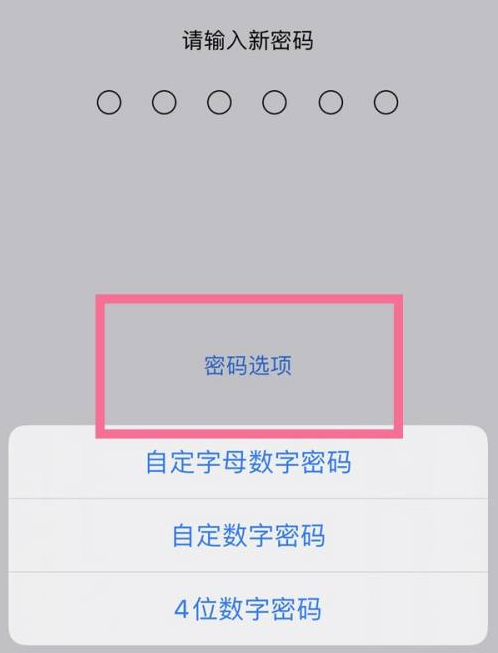 洪梅镇苹果14维修分享iPhone 14plus设置密码的方法 