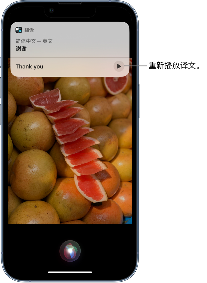 洪梅镇苹果14维修分享 iPhone 14 机型中使用 Siri：了解 Siri 能帮你做什么 