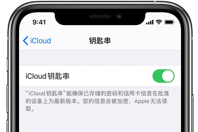 洪梅镇苹果手机维修分享在 iPhone 上开启 iCloud 钥匙串之后会储存哪些信息 